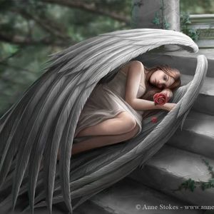 Meet your Posher, Lynnette